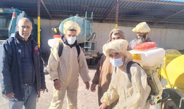 Recherche médicale : l'Algérie développe un vaccin contre la leishmaniose